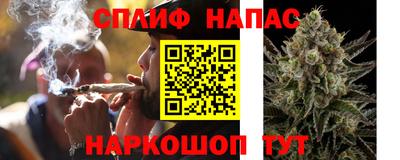 дмт Пугачёв
